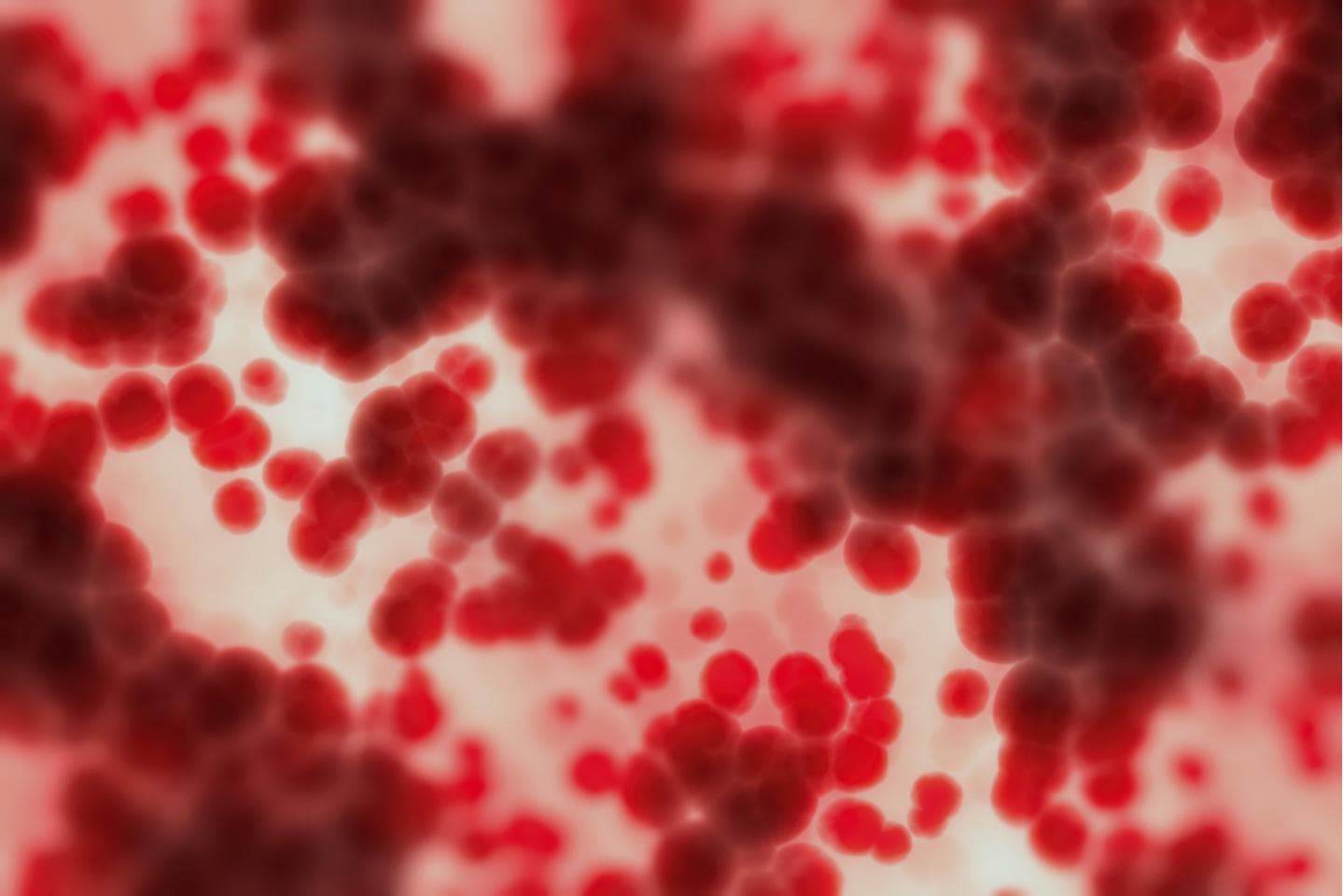 Organic blood abstract
